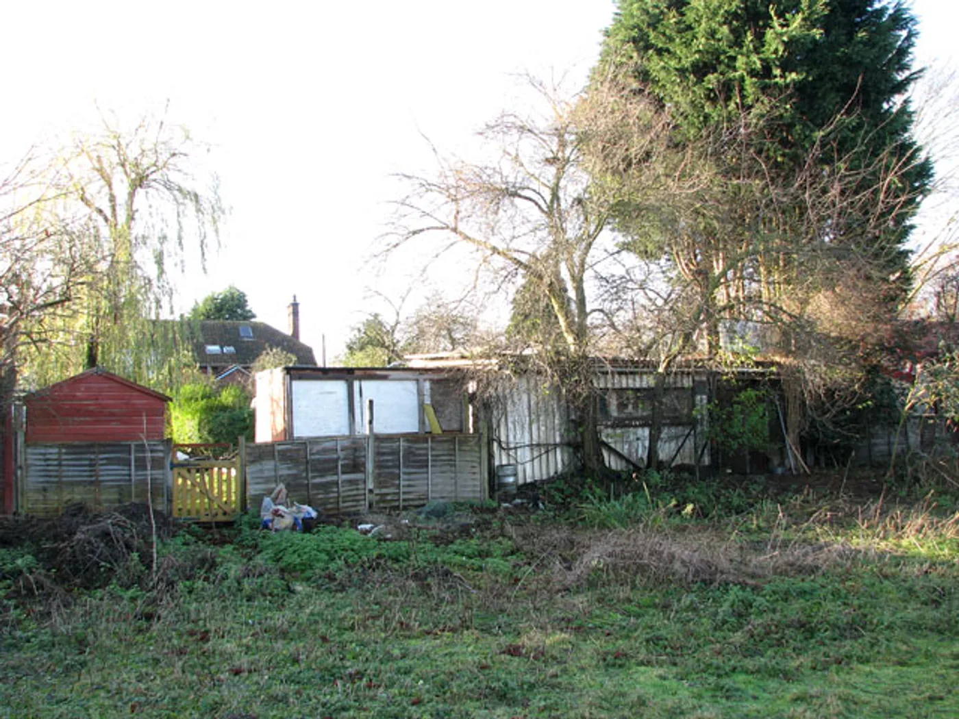 Backyard lawn, Modern — before